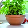 Pflanzschale Runder Pflanztopf 0,9 L Terrakotta Ø 17 cm Produktbild-Vorschau 6