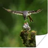 MuchoWow® Poster Vogel füttert seine Jungen 75x75 cm - Wand Produktbild-Vorschau 1