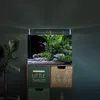 Dennerle Nano Tank Complete, 35 Liter - 40 x 32 x 28 cm - Produktbild-Vorschau 4