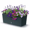 Skrzynka na balustradę balkonową/tarasową 50 cm Podgląd zdjęcia produktu 42