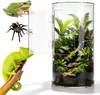 360° Cilindrisch terrarium, vivarium, acryl terrarium, Productafbeelding-voorbeeld 1