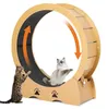 Roue d'exercice pour chats - Roue extra-large - 86 cm - Voir les images du produit 1