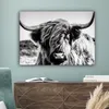 OneMillionCanvasses® - Obrazy na plátně - Kráva - Skotský Náhled obrázku produktu 4