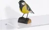 Wandregal aus Acrylglas 300mm Breit, 150mm Tief - Zeigis® / Produktbild-Vorschau 4