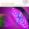 Solarne światło LED do uprawy z niebieskim czerwonym Podgląd zdjęcia produktu 13