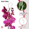 KOTARBAU® Set di 6 supporti per piante in PVC trasparente Anteprima dell’immagine prodotto 4