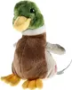 Pluszowa kaczka 16 cm Podgląd zdjęcia produktu 7