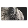 MuchoWow® Mauspad Mousepad Elefant - Tiere - Nahaufnahme - Produktbild-Vorschau 1