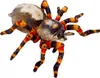 Nature Zoom|Die Spiegelburg Spinne - Nature Zoom Wild Produktbild-Vorschau 1