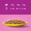Whiskas Adult 1+ Nassfutter für Katzen in Sauce mit Huhn, Produktbild-Vorschau 7