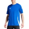 Hemd Adidas Tiro 24 Trikot IS1014 Produktbild-Vorschau 9