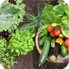 Nawóz ogrodniczy granulat uniwersalny Azofoska 5kg Podgląd zdjęcia produktu 9