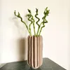 Glücksbambus - 12 Stk - Dracaena sanderiana - Höhe 40-50cm Produktbild-Vorschau 6