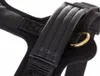 NIggeloh harnais de chien Follow Sport L noir Voir les images du produit 5