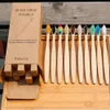 10-teiliges Zahnbürstenset mit weichen Borsten, zum Produktbild-Vorschau 6