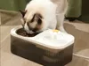 Automatischer Katzentränkebrunnen für Hunde mit Produktbild-Vorschau 9