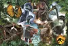 Trefl Puzzle Jurský svet, detské puzzle, 300 dielikov, 60 x Náhľad obrázku produktu 2