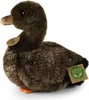 RAPPA Plsch-Ente 23 cm ECO-FRIENDLY Produktbild-Vorschau 3