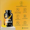 Schwarzkümmelöl Kapseln 420 Stück Produktbild-Vorschau 4