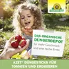 Neudorff Azet DüngeSticks für Tomaten und Erdbeeren 40 Produktbild-Vorschau 6