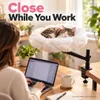 WISFOR kattenbed voor op het bureau, 360° draaibaar, in Productafbeelding-voorbeeld 8
