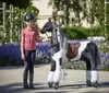 Domino Ponnie XL PRO Productafbeelding-voorbeeld 3