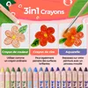 Colozoo Gecko Wood : coffret de crayons de couleur 3 en 1 Voir les images du produit 2