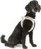 CURLI Postroj pro psy se sponou Air-Mesh Ruby L, 8-13 kg Náhled obrázku produktu 9