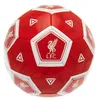 Liverpool FC - Fotbalový šestihran TA9609 (3) Náhled obrázku produktu 2