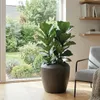 Vyveo - Pot de fleurs Liora - Argent métallisé - 44x40 Voir les images du produit 9