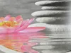 A pink water lily with yellow center is reflected in water next to a stack of smooth gray stones. Produktbild-Vorschau
