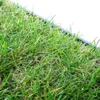 Katzengras Katzenwiese Hundewiese echter Rasen ca 60x40 cm Produktbild-Vorschau 2