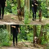 lionto Laisse multifonctions, laisse pour chiens réglable Voir les images du produit 2