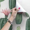 Coloray Fototapete 250x104 cm Vlies-Fototapete - Kakteen Produktbild-Vorschau 3