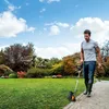 Worx WG163E.9, podkaszarka do trawy, nylonowa linka, uchwyt Podgląd zdjęcia produktu 2