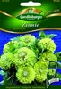 Zinnien Green Envy | Zinniensamen von Quedlinburger Produktbild-Vorschau 1