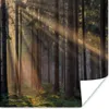 MuchoWow® Poster Bäume - Wald - Sonne - Pflanzen 75x75 cm - Produktbild-Vorschau 1
