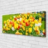 Tulup Leinwand-Bilder 125x50 Wandbild Canvas Kunstdruck Produktbild-Vorschau 2