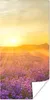 MuchoWow® Poster Lavendel - Sonnenuntergang - Bäume - Lila Produktbild-Vorschau 1