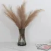 110 cm Pampová tráva Prírodné sušené kvety Phragmites Náhľad obrázku produktu 2