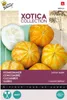 Cucumber Lemon Apple | Semena okurek od Buzzy Seeds Náhled obrázku produktu 2