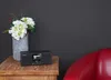 Telestar DIRA S 21i + sw Digitalradio Produktbild-Vorschau 7