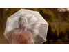 Transparenter Hochzeitssonnenschirm Transluzent Weiß Produktbild-Vorschau 5