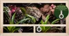 Repiterra® Terrarium Seitenbelüftung Holzterrarium OSB Holz Produktbild-Vorschau 2