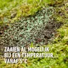 Compo Rasensamen 2kg bis 100m² - Reparaturrasen beschichtet Produktbild-Vorschau 9