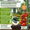 TTL GARDEN Rankstäbe 20er Set 180cm 16mm extra stabil + Produktbild-Vorschau 2