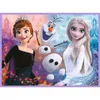 Trefl TREFL FROZEN Puzzle set with memo cards Frozen II Anteprima dell’immagine prodotto 7