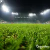 Rasen-Topdressing - Mischung mit Mykorrhiza und Produktbild-Vorschau 4