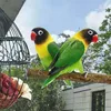 Set mit 5 Vogelstangen aus Naturholz, Vogelstangen aus Produktbild-Vorschau 3