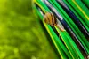 4-Lagiger Gartenschlauch 3/4" 30M Home Plus Vartco Produktbild-Vorschau 5